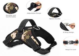 Hundur Store Dog Standard Harness