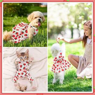 PETANGEL Dog Harness Dress and Leash Set Cute Bowknot Puppy Cat Princess Girl Dress Dog & Cat Harness & Leash
