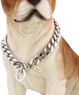 Regiis Dog SIlver Neck Collar Chain accessories for Medium Breed Dog Dog Choke Chain Collar