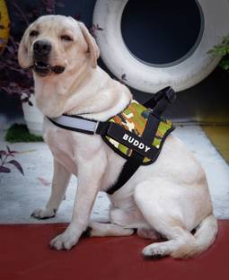 ALCAZAR Dog Vest Harness, Adjustable Size (L, Recommended for 24-35KG Pet) Dog Standard Harness