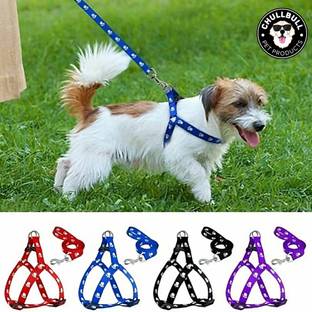 chullbull pet products 1 pcs 15 mm Paw Print Leash and Harness Set for Small ,Medium Puppy Dog & Cat Harness & Leash