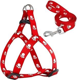 JAISWALPET 15 mm Paw Print Leash and Harness Set for Small ,Medium Puppy Dog & Cat Harness & Leash