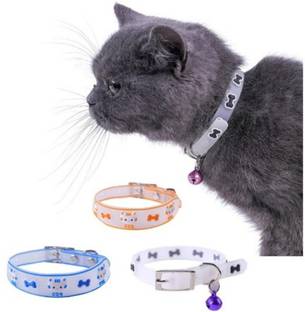 PSK PET MART Dog Trust Pet Kitten Cats and Small Dogs Pets Dog & Cat Everyday Collar
