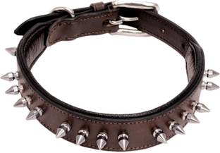 ADIL'S Dog Everyday Collar