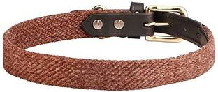 Sparrow Daughter Dog Everyday Collar