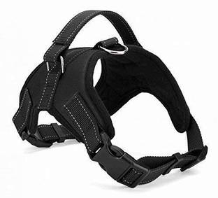 PETSPOPULAR PETSPOPULAR Premiuim Quality Safety Dog Harness Dog Buckle Harness (XL) Dog Collar & Leash