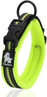 Petsup Dog Collar Dog & Cat Everyday Collar