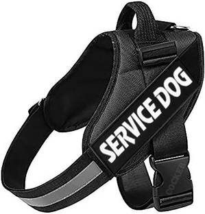 HOUSE OF COMMON Dog Safety Harness