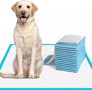 Patch and Marshall XL Puppy Training Pee & Potty Pads | Rapid Dry Surface & Absorbent Core ,60 Pads Disposable Dog & Cat Diapers