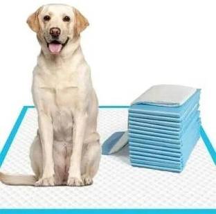Ezoyplus Pee pad & Pets Dog Training Pet Met/ Potty Pads Large size (60*90cm), 10 pcs Disposable Dog Diapers