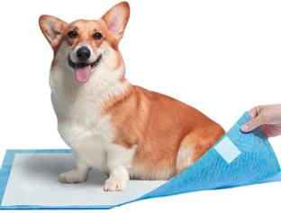 Patch and Marshall Best Pee Pads for Pets,Dogs,Rabbits,Cats Training Pads with Floor Tape-40 x 60CM Disposable Dog & Cat Diapers