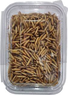 Grow Basket Dried Black Soldier Fly Larvae 100% Natural Dried Premium Aquarium Fish Food Fish Fish Chew