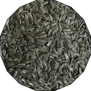 Birddy Seeds Premium Size of Strip Sunflower Seeds Select Bird Food for African Grey, Macaws Fruit 2 kg Dry Adult Bird Food