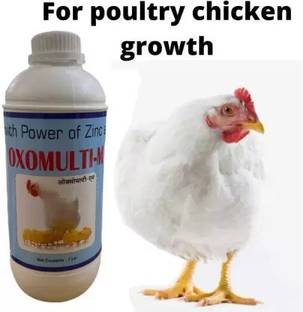 oi-gong Broiler Weight Gainer & Growth Promoter for Poultry, 1 kg Wet Young Bird Food