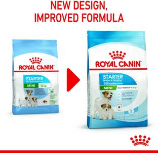 Royal Canin Mini Starter 1 kg Dry Young Dog Food