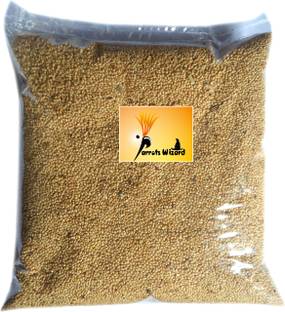 Parrots Wizard Kangni Seed Bird Food 0.95 kg Dry New Born, Adult, Young, Senior Bird Food