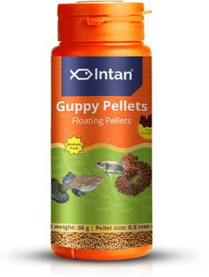 INTAN Guppy Pellets_Medium Fish 0.06 kg Dry Adult Fish Food