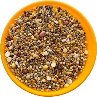 VM Mart Premium Pigeon Birds Seed Mix Daily Food 1Kg + 100gm Nuts 1.1 kg Dry Young, Adult, Senior Bird Food