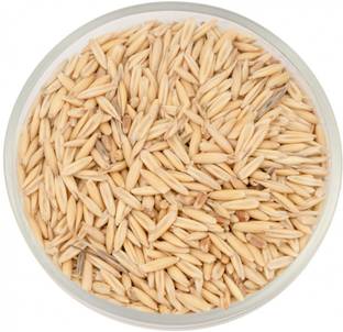 Pripton Oats Seeds For Birds, Oats Seeds Birds Food Nuts 0.45 kg Dry Adult, Young, Senior, New Born Bird Food