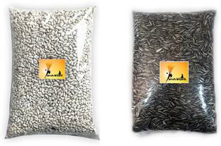 Parrots Wizard Combo Sunflower & Safflower Seeds 1.8 kg (2x0.9 kg) Dry Adult Bird Food
