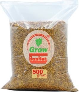 Grow Basket Dried Black Soldier Fly Larvae 100% Natural Dried Premium Aquarium Fish Food Fish Fish Chew