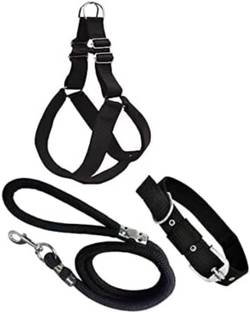 Unique Dog Head Collar