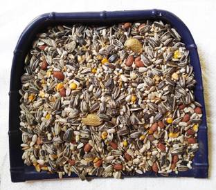 Parrots Wizard bird mix seeds 1 0.9 kg (2x0.45 kg) Dry Adult Bird Food