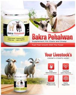 Aurous Bakra Pehalwan Premium Supplement for Goats & Sheep Growth&Weight Gain -(PACK-1) Pet Health Supplements