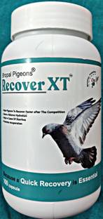 bhopal pigeons RECOVER XT CAPSULES FOR PIGEONS RECOVERY AFTER HEAVY FLIGHT Pet Health Supplements