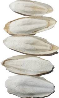 Korkai Cuttlefish bones for birds best calcium supplement for budgies finches 100g Pet Health Supplements