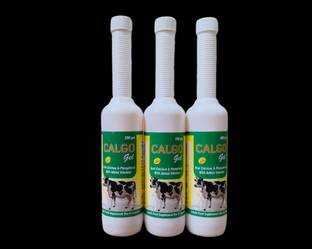 Calgo Gel Pack of 3 Pet Health Supplements