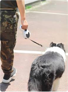 PETZ R US Pet Retractable Leash with Torch 5M Durable Pet Walking Leash For Dog & Puppies 500 cm Dog Cord Leash