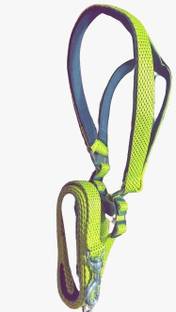 SUPER CHAIN 164 cm Dog Cord Leash