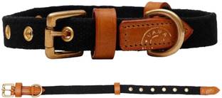 VamaLeathers Sweat Free Collar- Sustainable & Eco Friendly - Natural Cotton - Sturdy Solid Brass Buckle - Suitable For Neck Sizes 16 - 21 Inch - Width 1 Inch - For Medium Size Dog 60 cm Dog Strap Leash