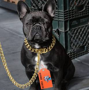 SUPER CHAIN GOLD Heavy Weight Diamond Cut Heavy Duty (MEDIUM) Dog Gold Chain 160 cm Dog Chain Leash