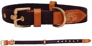 VamaLeathers Sweat Free Collar- Sustainable & Eco Friendly - Natural Cotton - Sturdy Solid Brass Buckle - Suitable For Neck Sizes 12 - 17 Inch - Width 0.75 Inch - For Small Size Dog 43 cm Dog Strap Leash