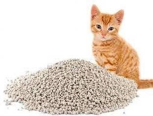 UIOPK 25 KG CAT LITTER Pet Litter Tray Refill