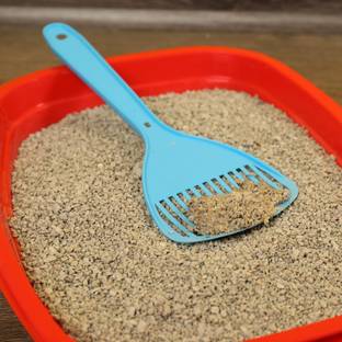 Hipkoo Advanced Clumping Cat Litter Sand| Lavender Scented | 5kg Pet Litter Tray Refill