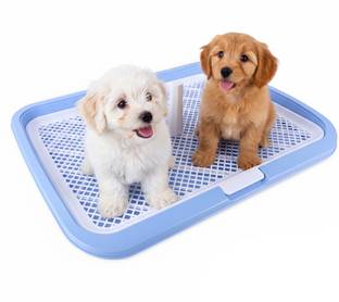 HASTHIP Plastic Dog Poop Tray Puppy Pee Poop Training Deck Pee Pads for Dogs Pet Litter Tray Refill