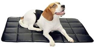 THE PETS POPULAR Dog & Cat NA Harness