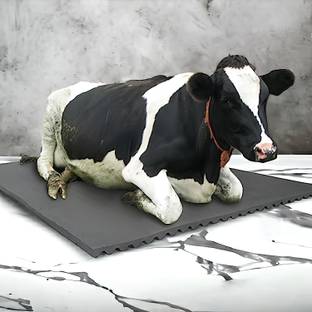 Ursus Animal Feeding Waterproof Rubber mat BPA Free for Cow, Buffalo, BLACK Cow, Dog, Cat, Guinea Pig, Tortoise Pet Mat