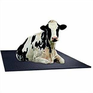 RDP COW MAT ONE PC 4XL Pet Bed