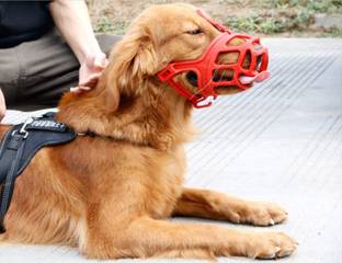 DogTrust XL Rubber Muzzle: Strong Protection for Large Breeds like Rottweilers Extra Large Other Dog Muzzle