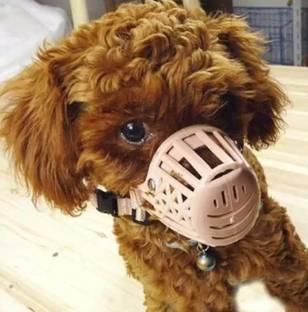 DOSAN Puppy Dog Muzzle For Small Puppies, Basket Dog Muzzle/Adjustable Strap Extra Small Other Dog Muzzle