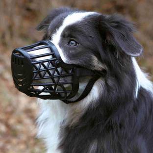 PetJoy Adjustable Strap Muzzle – Extra Large Extra Large Strips Dog Muzzle
