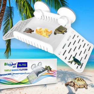 Bluepet Climbing Perch Turtle