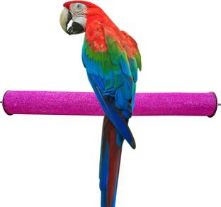 CONGO NATURAL PARROT TREAT Grooming Perch Bird