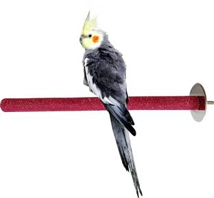 CONGO NATURAL PARROT TREAT Grooming Perch Bird