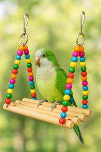 Beak Bite Excercise Perch Bird