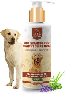 Unitailz Dog Shampoo Healthy Shiny Coat | Dog Shampoo For Labrador Dog & Puppy, Conditioning, Anti-dandruff, Anti-itching, Anti-microbial, Allergy Relief, Anti-fungal Fresh, Cleans Dirt & Dust, Maintains Skin & Hair Health | For All Dog Breed, Dog Shampoo